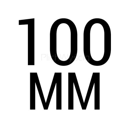 100 mm